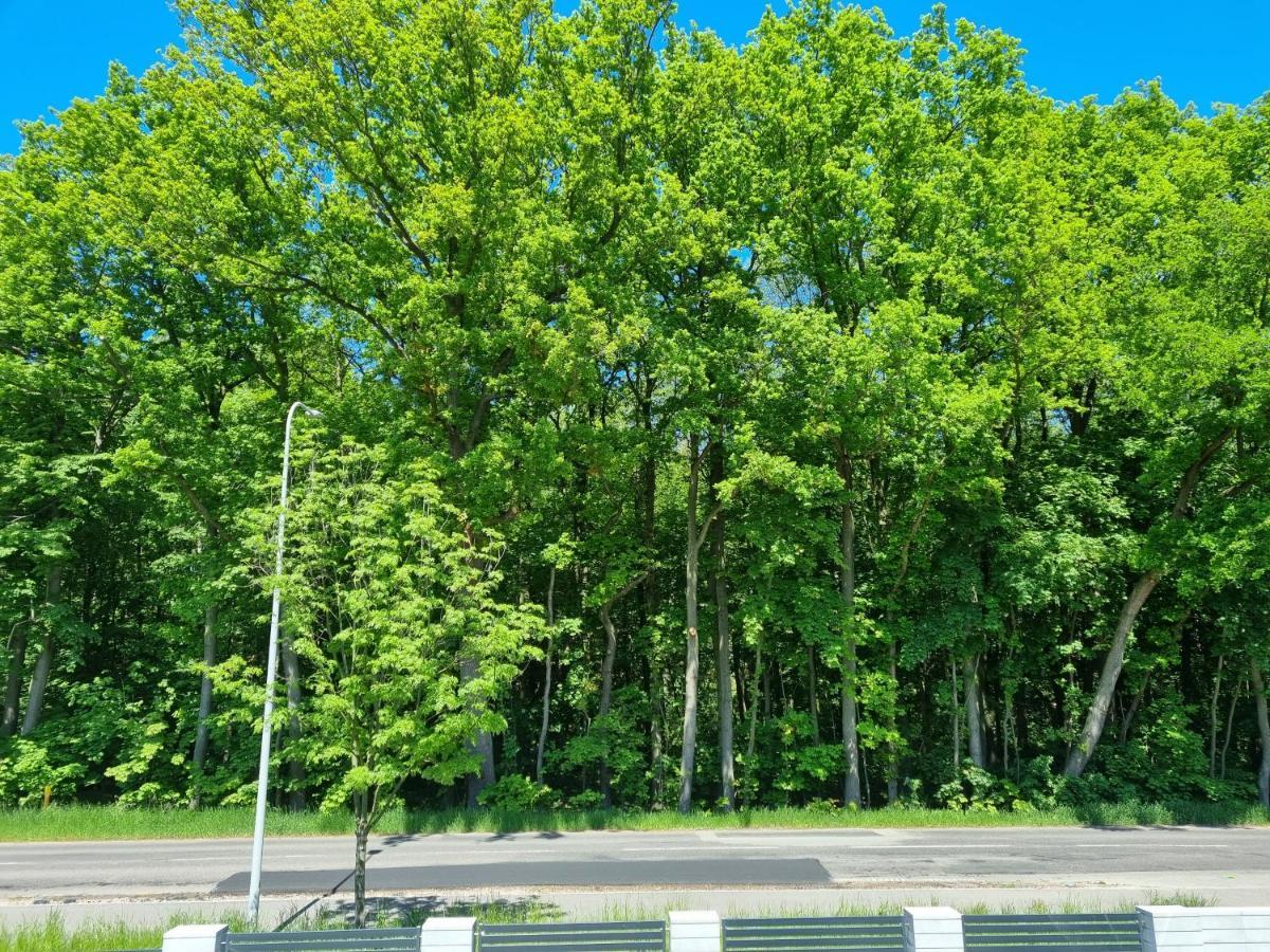 גדנסק M&K Apartament Baltyk - Sobieszewo - Wyspa Sobieszewska מראה חיצוני תמונה